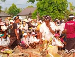 Lautan Manusia Hadiri Upacara Ngaben Massal Di Basarang