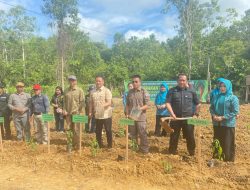 Dukung Pengendalian Laju Inflasi, Pemkab Mura Program Gerakan Tanam Cabai