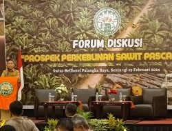 Pemerintah dan Investor Perlu Duduk Bersama Wujudkan Industri Kelapa Sawit yang Berkeadilan