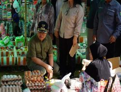 PJ Bupati Barito Selatan H. Deddy Winarwan Melakukan Inspeksi Di Pasar Desa Patas