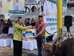 Ketua DMI Kota Palangka Raya, Fairid Naparin Serahkan Bantuan Hewan Kurban