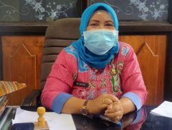 Musim Tanam Padi Asep di GBA 100 dan 800 Hektar di Karau Kuala