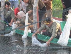 Pemkab Barsel Berkomitmen Meningkatkan Pengelolaan Perikanan Ikan Darat