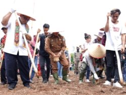 Penanaman Padi Gogo: Sinergi Pemerintah untuk Ketahanan Pangan di Murung Raya