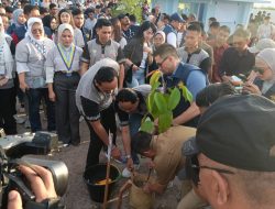 ‎DPP dan DPD KNPI se- Indonesia Tanam Ratusan Pohon di Persemaian Permanen Modern di Palangka Raya