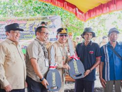 Pemprov Kalteng Perkuat Infrastruktur dan Daya Dukung Petani Lewat Panen Raya di Kapuas