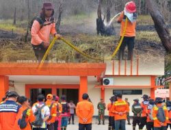 BPBD Kalteng Tegaskan Karhutla Tetap Jadi Ancaman Meski Hujan