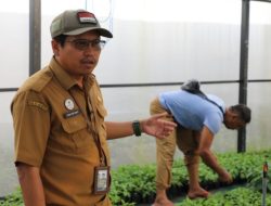 UPT BPPB-TPH Kalteng Manfaatkan Screen House untuk Pembibitan Cabai Berkualitas