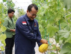 Smart Farming Jadi Andalan Kalteng Perkuat Ketahanan Pangan dan Kembangkan Varietas Baru