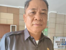 Wabup Katingan Dapat Dukungan DPRD untuk Realisasi Listrik Gratis