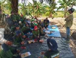 Sekolah Lapang di Kapuas Latih Petani Cabai Tingkatkan Keterampilan Budidaya