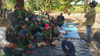 Sekolah Lapang di Kapuas Latih Petani Cabai Tingkatkan Keterampilan Budidaya