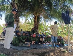 Petani Kapuas Didorong Terapkan Pengendalian Hama Terpadu dalam Budidaya Cabai