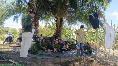 Petani Kapuas Didorong Terapkan Pengendalian Hama Terpadu dalam Budidaya Cabai