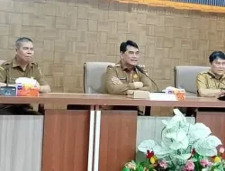 Mendagri Gelar Rakor Nasional Secara Virtual, Dihadiri Bupati Barito Utara 
