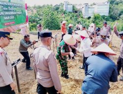 Penanaman Jagung Jagung Serentak, Menuju Swasembada Pangan 2025