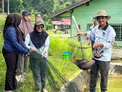 Panen Bibit Ikan di BPBAT Lahei, Dukung Ketahanan Pangan Daerah Kata Kadis DKPP Barito Utara