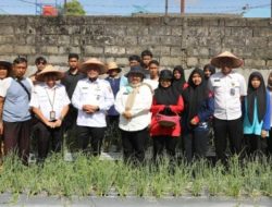 UPT BPPB-TPH Tampilkan Lahan Percontohan Bawang Merah TSS Sebagai Edukasi Pertanian
