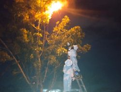 Respon Cepat, BPBD Kalteng Evakuasi Sarang Tawon Vespa di Kantor Dinas Koperasi dan UMKM