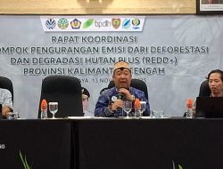 Kepala DLH Kalteng Tegaskan Peran Pokja REDD+ dalam Pengelolaan Dana dan Target Emisi
