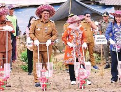 Gelorakan Semangat Baru Pertanian Jagung Hibrida