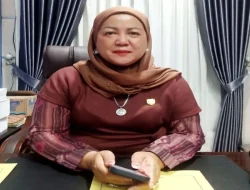 Waket II DPRD Barut: HKN momentum wujudkan generasi sehat Indonesia Emas 2045