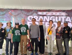 Pemprov Kalteng Perkuat Dukungan Pelestarian Orangutan di Pulau Bangamat