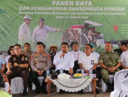Pemprov Kalteng Ikuti Panen Raya Nasional, Presiden Umumkan Swasembada Pangan 2025