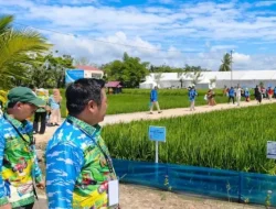Wabup Barito Utara Pelajari Inovasi Pertanian Modern di Arena PENAS XVII