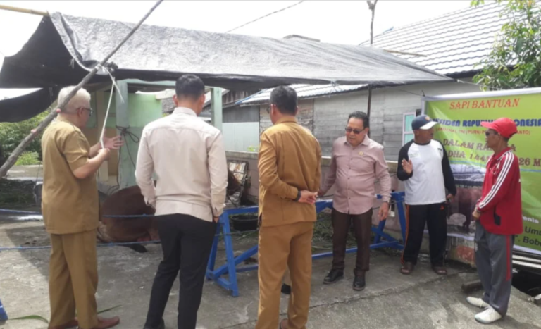 Ansyari Tinjau Distribusi Hewan Kurban di Barito Selatan